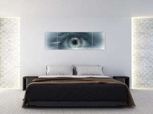 Obraz - Pohled oka (170x50 cm)