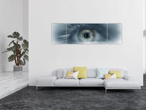 Obraz - Pohled oka (170x50 cm)