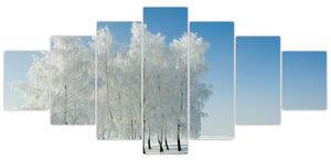 Obraz zasněžené krajiny (210x100 cm)