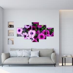 Obraz - Květy (125x70 cm)