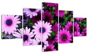 Obraz - Květy (125x70 cm)
