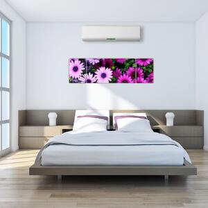 Obraz - Květy (170x50 cm)