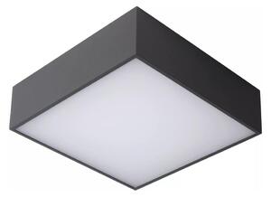 Lucide 27816/10/29 - LED Koupelnové stropní svítidlo ROXANE LED/12W/230V IP54
