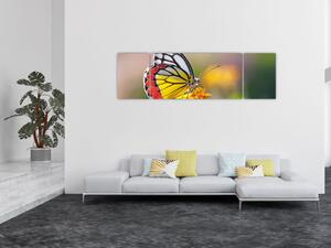 Obraz motýla na květu (170x50 cm)