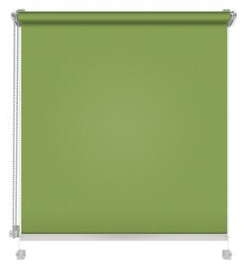 Roleta Nástěnná Standard Hladká Jarní zelená Výška: 150 cm, Šířka: 147 cm