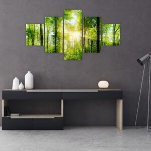 Obraz - Svítání v lese (125x70 cm)