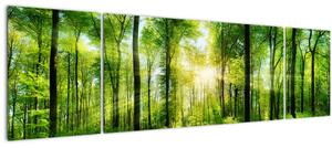 Obraz - Svítání v lese (170x50 cm)