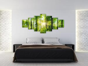 Obraz - Svítání v lese (210x100 cm)
