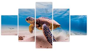 Obraz želvy v oceánu (125x70 cm)