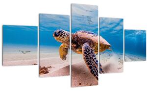 Obraz želvy v oceánu (125x70 cm)