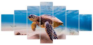 Obraz želvy v oceánu (210x100 cm)