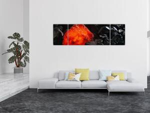 Obraz - Žhnoucí nerost (170x50 cm)