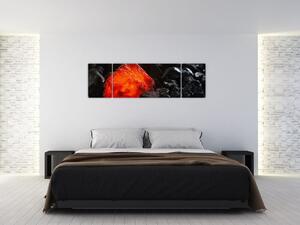 Obraz - Žhnoucí nerost (170x50 cm)