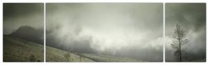 Obraz krajiny před bouři (170x50 cm)
