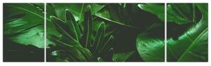 Obraz - Palmové listy (170x50 cm)