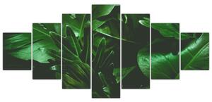 Obraz - Palmové listy (210x100 cm)