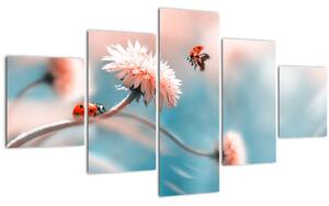 Obraz - Berušky na květu (125x70 cm)
