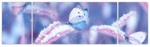 Obraz - Motýli v zimě (170x50 cm)