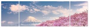 Obraz - Japonská jarní krajina (170x50 cm)