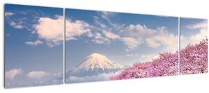 Obraz - Japonská jarní krajina (170x50 cm)