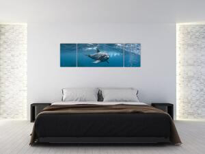 Obraz - Delfín pod hladinou (170x50 cm)