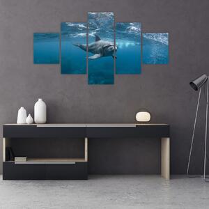 Obraz - Delfín pod hladinou (125x70 cm)