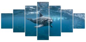 Obraz - Delfín pod hladinou (210x100 cm)