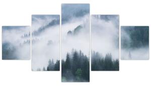 Obraz - Stromy v mlze (125x70 cm)