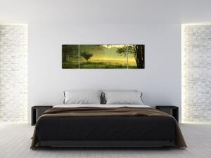Obraz - Probouzející se les (170x50 cm)