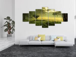 Obraz - Probouzející se les (210x100 cm)