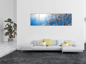 Obraz - Třešňové květy (170x50 cm)