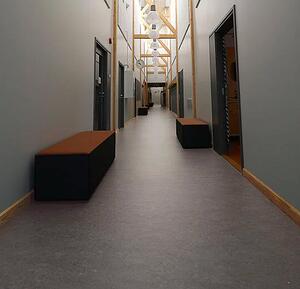 FORBO Marmoleum marbled real Eiger 2629 - 2 bm
