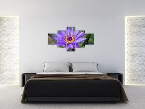 Obraz - Fialová květina (125x70 cm)