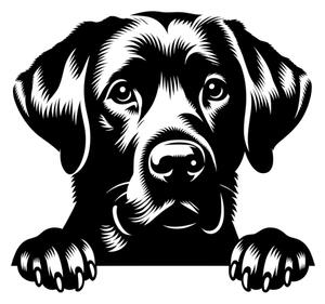 Samolepka pes Labradorský retrívr