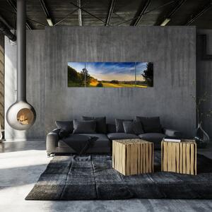 Obraz - Horská louka (170x50 cm)