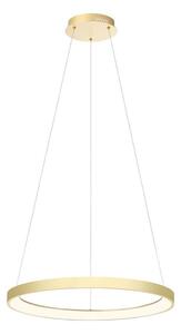 Redo 01-2673-LED Stmívatelný lustr na lanku ICONIC LED/50W/230Vpr. 58 cm zlatá