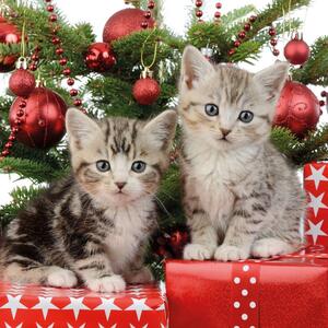 Vánoční ubrousky Dvě koťátka 3500030
