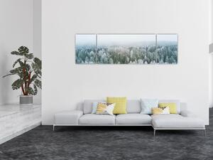 Obraz - Zasněžené vrcholky lesů (170x50 cm)