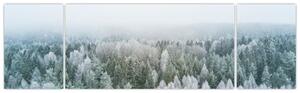 Obraz - Zasněžené vrcholky lesů (170x50 cm)