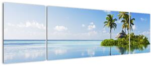 Obraz - Tropický ostrov (170x50 cm)