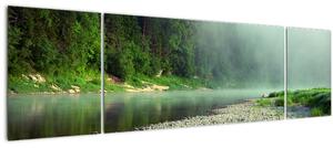 Obraz - Řeka u lesa (170x50 cm)