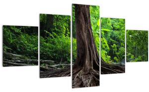 Obraz - Starý strom s kořeny (125x70 cm)