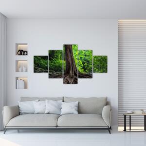 Obraz - Starý strom s kořeny (125x70 cm)