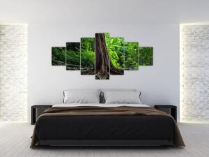 Obraz - Starý strom s kořeny (210x100 cm)