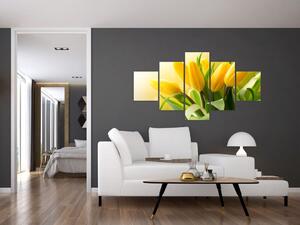 Obraz - Žluté tulipány (125x70 cm)