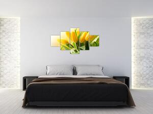 Obraz - Žluté tulipány (125x70 cm)