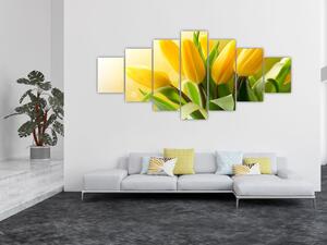 Obraz - Žluté tulipány (210x100 cm)