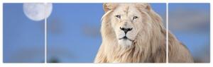 Obraz - Bílý lev (170x50 cm)
