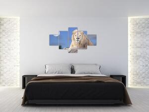 Obraz - Bílý lev (125x70 cm)
