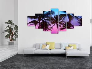 Obraz - Palmy v Miami (210x100 cm)